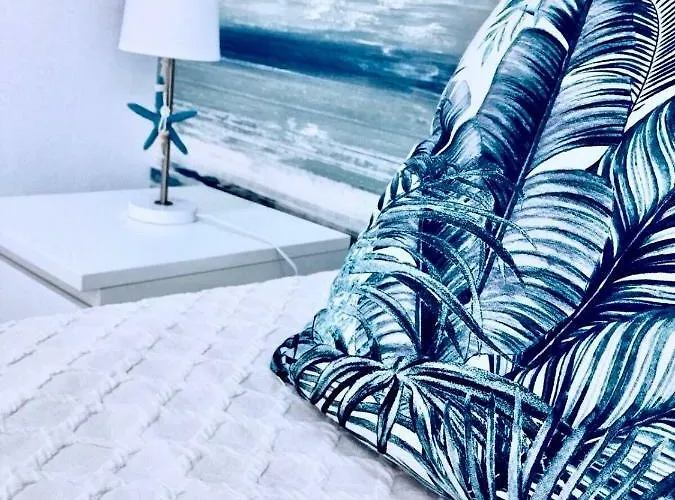 Flipflops * 纳扎雷