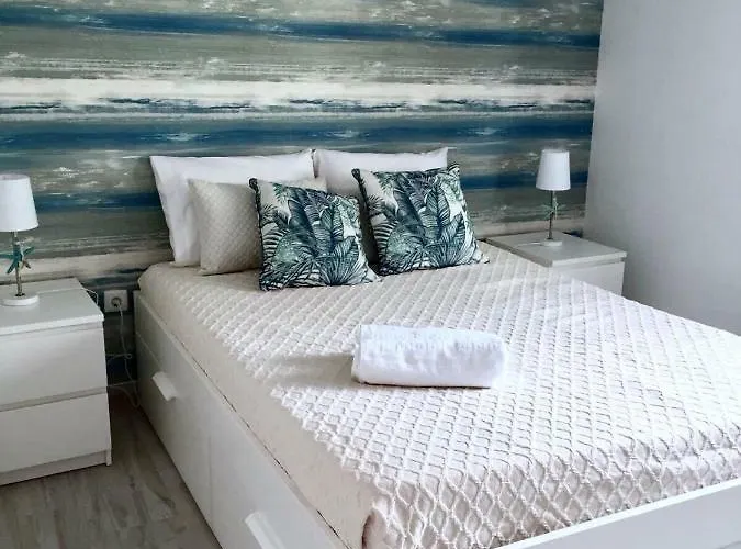 Flipflops * 纳扎雷